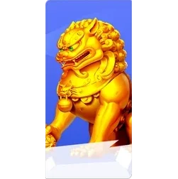 5 Lions